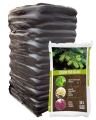 paleta2a.jpg