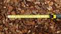 Perfect 15-35mm - 2.jpg