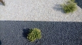 image;s=1000x700.jpg