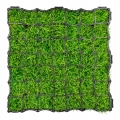 50x50x5-5.jpeg